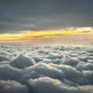 Meet your Posher, Cheyenne